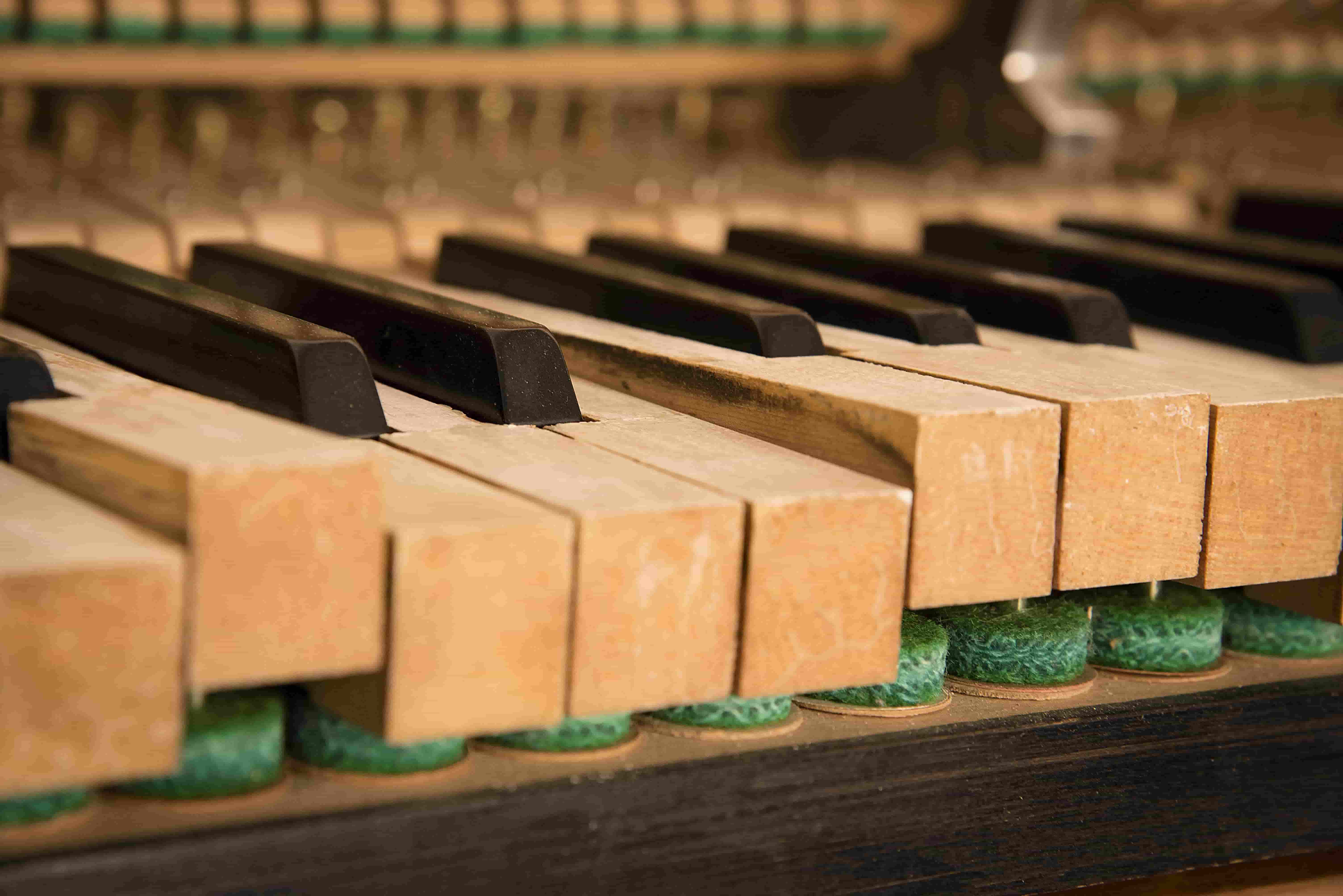 teclas piano